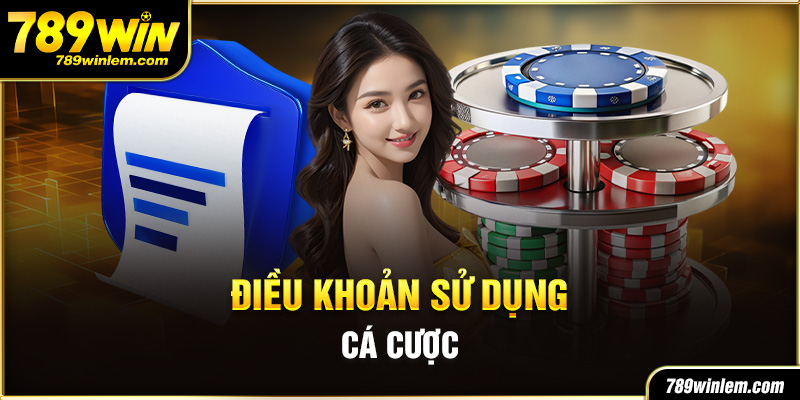 Nội dung chính trong của điều khoản